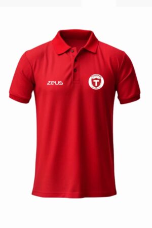 Remera Polo Touring BBC