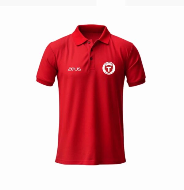 WhatsApp Image 2025-01-21 at 3.27.42 PM Remera Polo Touring BBC