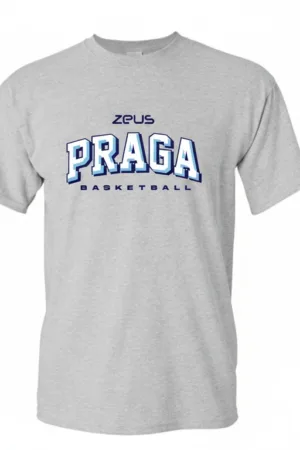 Remera Algodon Gris Praga
