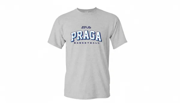Remera Algodon Gris Praga