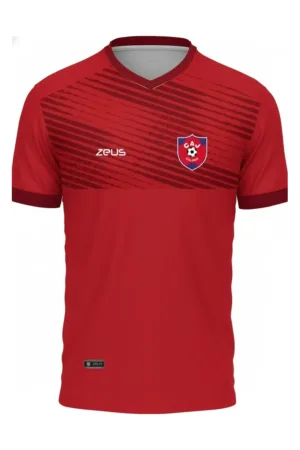 Camiseta entrenamiento CAJ